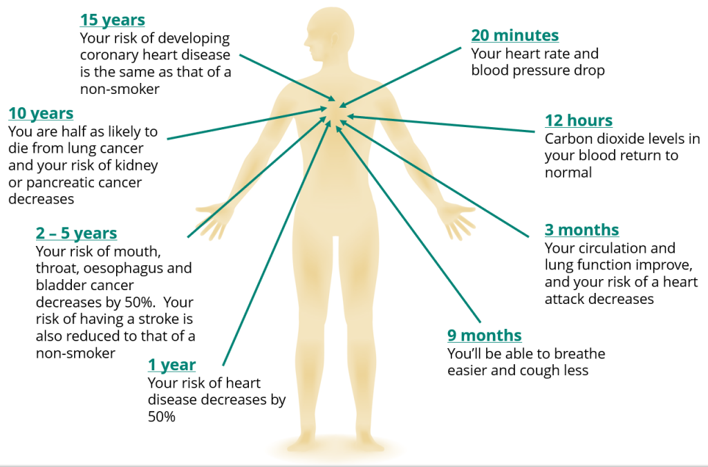 Diagram showing the health benefits of stopping smoking. After: 20 minutes: your heart rate and blood pressure drop 12 hours: carbon dioxide levels in your blood return to normal 3 months: your circulation and lung function improve and your risk of a heart attack decreases 9 months: You'll be able to breathe easier and cough less 1 year: your risk of heart disease decreases by 50% 2-5 years: your risk of mouth, throat, oesophagus and bladder cancer decreases by 50%. Your risk of having a stroke is also reduced to that of a non-smoker 10 years: You are half as likely to die from lung cancer and your risk of kidney or pancreatic cancer decreases 15 years: Your risk of developing coronary heart disease is the same as that of a non-smoker