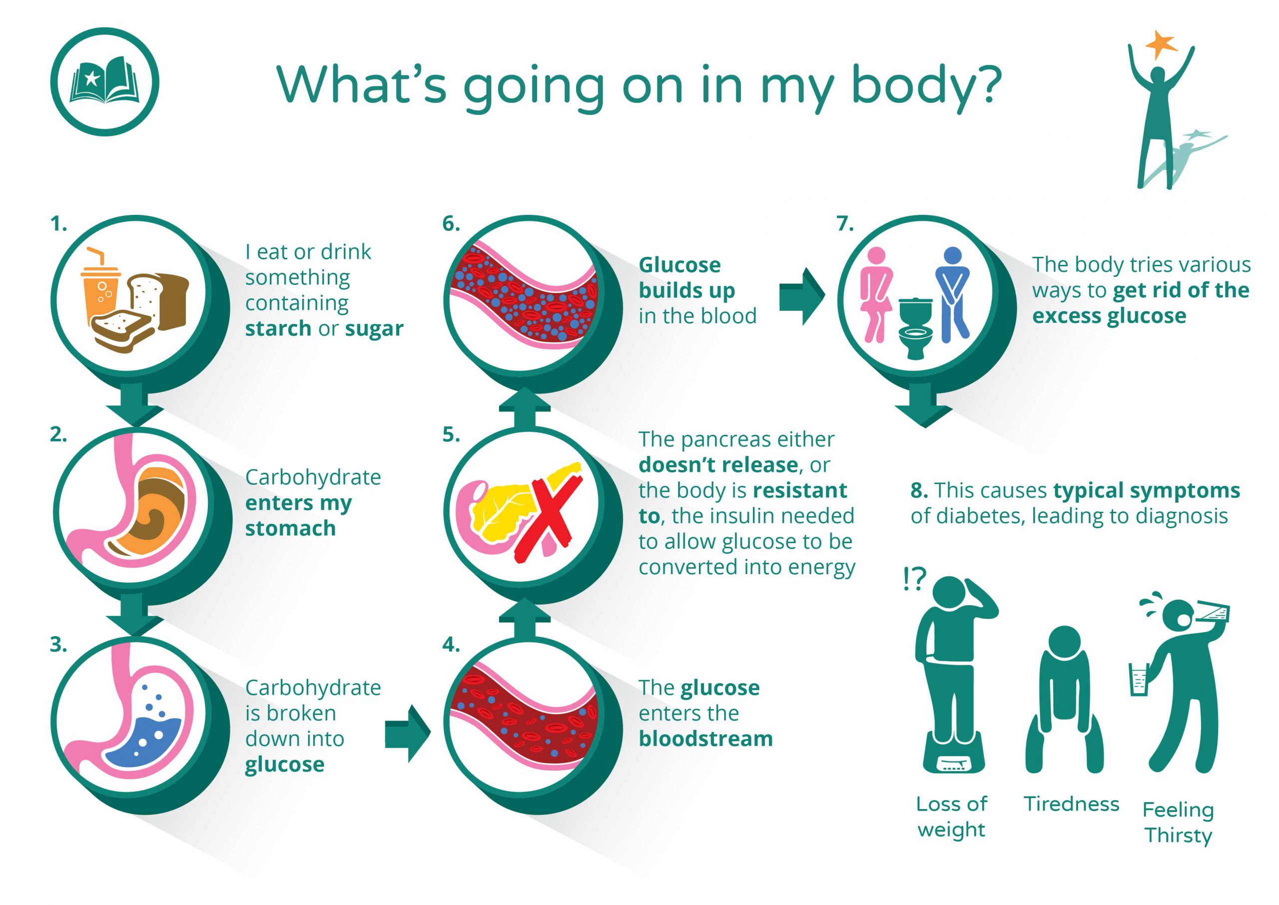 Graphic showing what is going on in my body:
I eat something containing starch or sugar; carbohydrate enters my stomach; carbohydrate is broken down to glucose; the glucose enters the bloodstream; the pancreas either doesn't release or the body is resistant to, the insulin needed to allow glucose to be converted into energy; glucose builds up in the blood; the body tries various ways to get rid of the excess glucose; this causes the typical symptoms of diabetes leading to diagnosis such as weight loss, tiredness, feeling thirsty and frequent urination